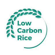 Low Carbon Rice — Preferred by Nature